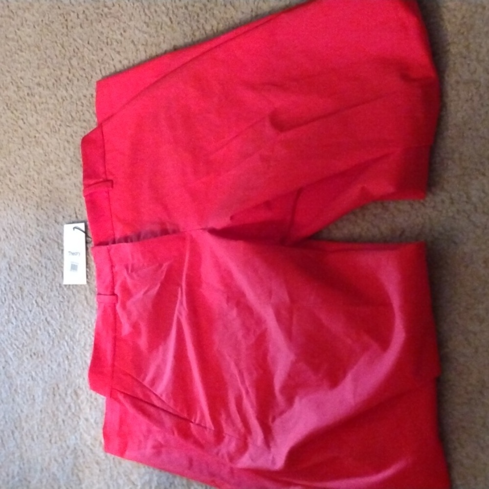 2375 Theory pants